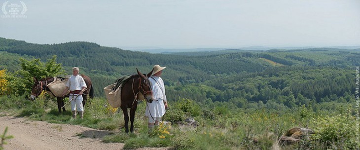 Mules et leurs muletiers