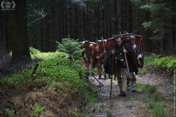 Dans les forêts du Morvan