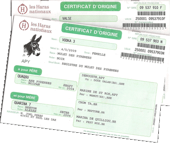 certificat d'origine des mules