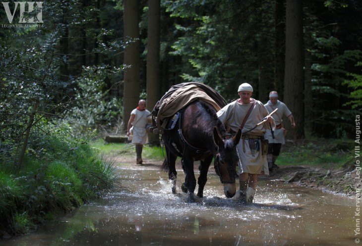 Les mules bâtées et leurs muletiers